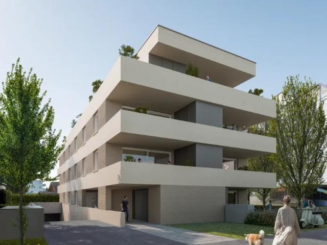 Wohnung kaufen in Lustenau, Vorarlberg