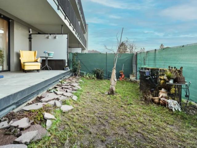 Wohnung kaufen in Katastralgemeinde Marchegg, Marchegg