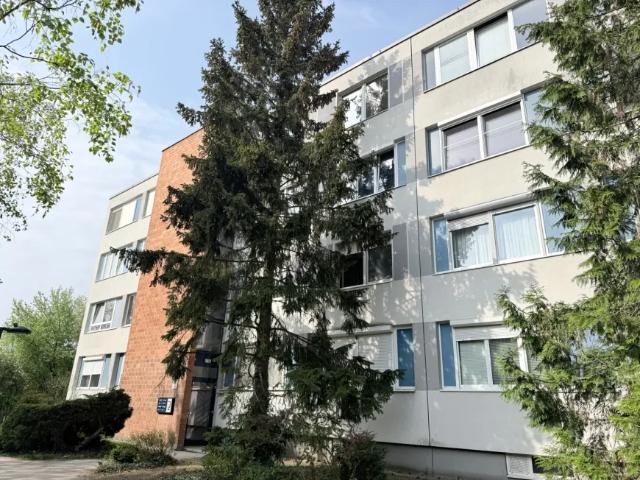 Wohnung kaufen in Maria Enzersdorf, Niederösterreich