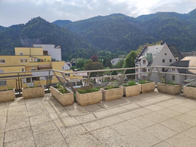 Wohnung mieten in Zell, Kufstein