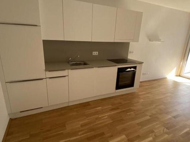 Wohnung mieten in Innere Stadt, Wien