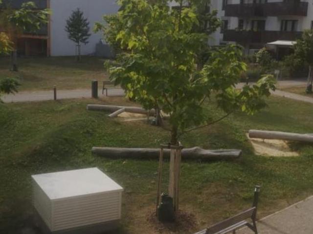 Wohnung mieten in Schwechat, Niederösterreich