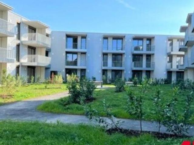 Wohnung mieten in Wels, Oberösterreich