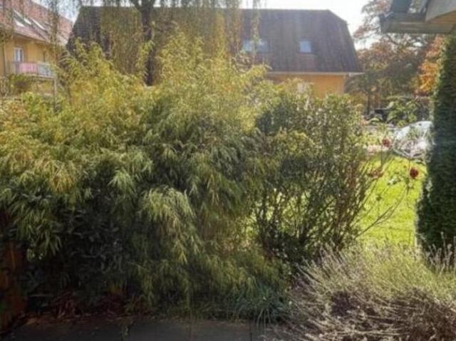 Wohnung mieten in Geidorf, Gersdorf-Feistritz