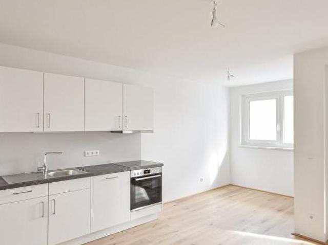 Wohnung mieten in Innere Stadt, Wien