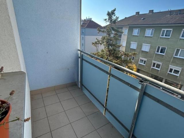 Wohnung mieten in Eisenstadt, Burgenland