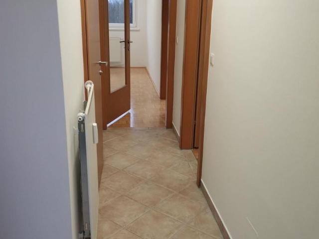 Wohnung mieten in Sankt Peter, Gersdorf-Feistritz