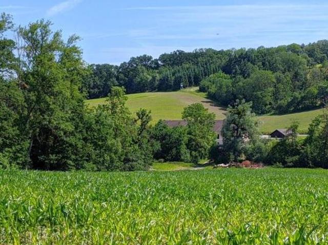 Wohnung kaufen in Kärnten