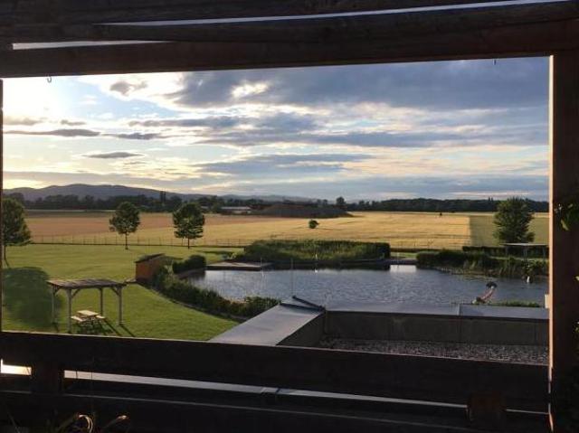 Wohnung mieten in Katastralgemeinde Unterwaltersdorf, Ebreichsdorf