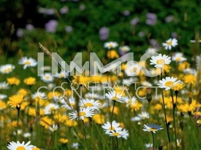 Wohnung kaufen in Linz, Oberösterreich