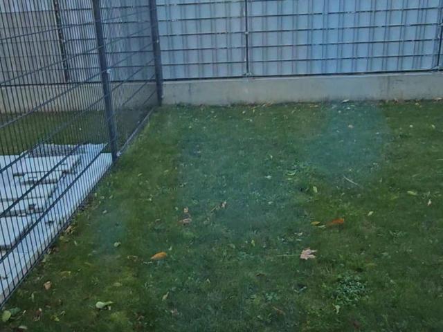 Wohnung mieten in Schwechat, Niederösterreich