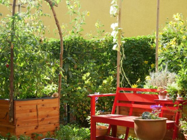 Wohnung mieten in Wien