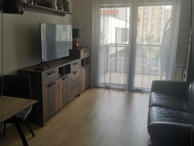 Wohnung mieten in Schwechat, Bezirk Bruck an der Leitha