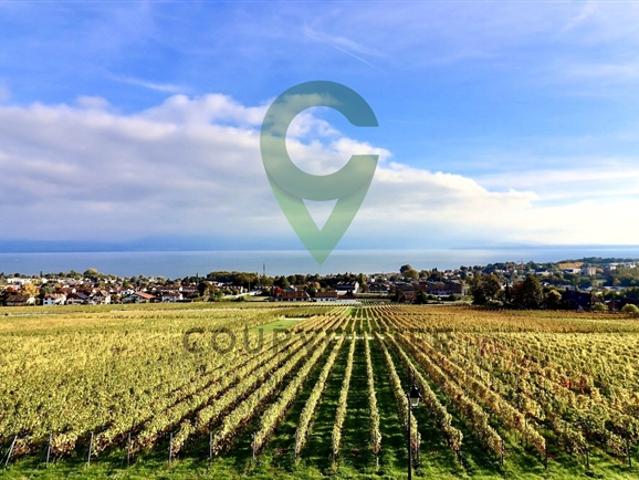 Wohnung kaufen in Rolle, Waadt