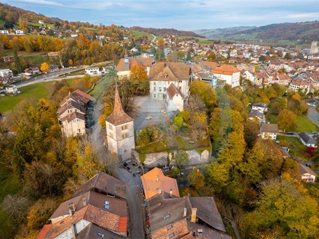 Wohnung kaufen in Moudon, Waadt