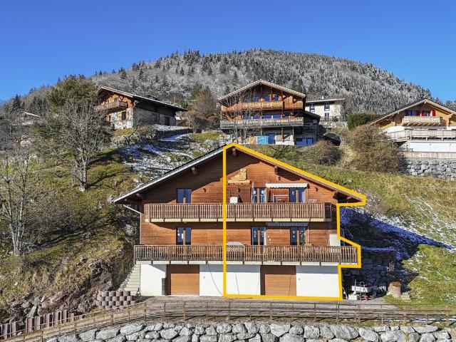 Wohnung kaufen in Vionnaz, Wallis