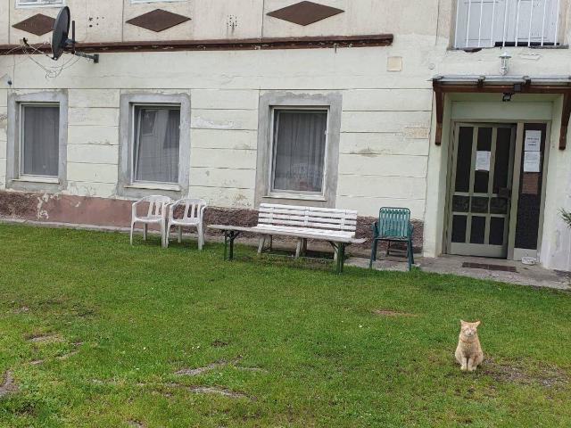 Apartment kaufen in St. Pölten, Niederösterreich