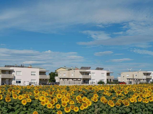 Apartment mieten in Zemendorf-Stöttera, Burgenland