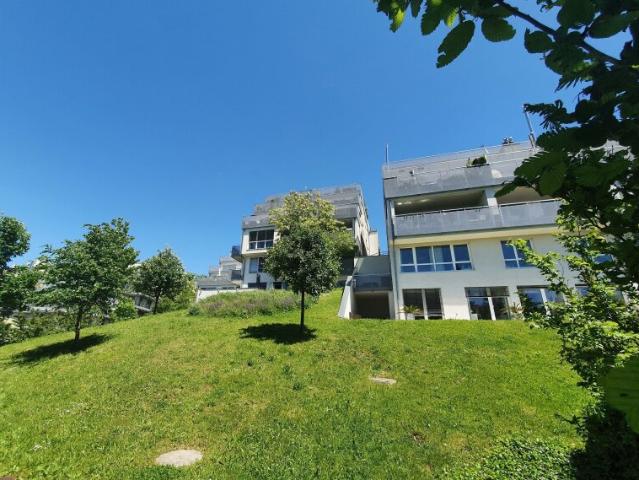Terrassenwohnung mieten in Wien
