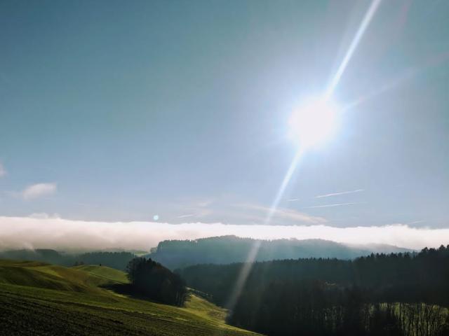 Wohnung kaufen in Lohnsburg am Kobernaußerwald, Oberösterreich