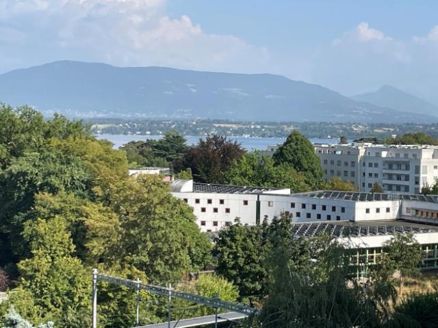 Wohnung kaufen in Versoix