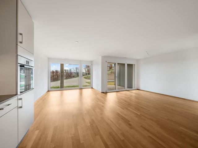 Apartment mieten in Klingnau, Bezirk Zurzach