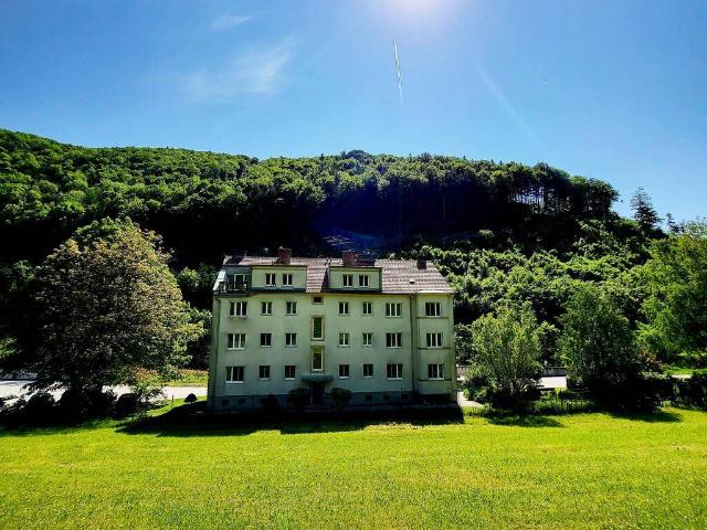 Apartment mieten in Hainfeld, Niederösterreich