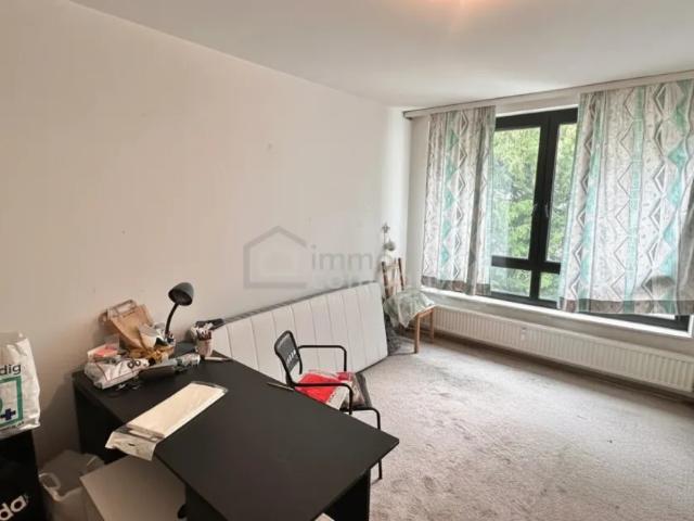 Wohnung kaufen in Mödling, Niederösterreich
