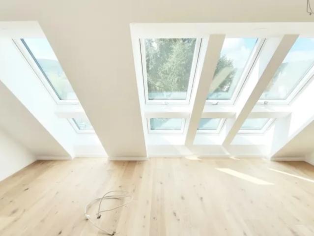 Wohnung kaufen in Mödling, Niederösterreich