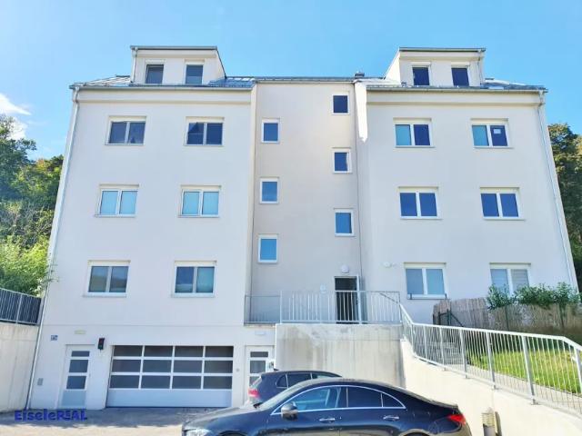 Wohnung mieten in Mödling, Bezirk Mödling
