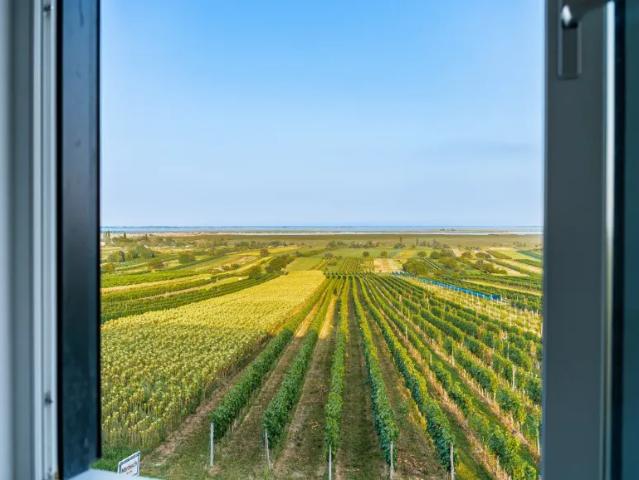 Wohnung kaufen in Mörbisch am See, Burgenland