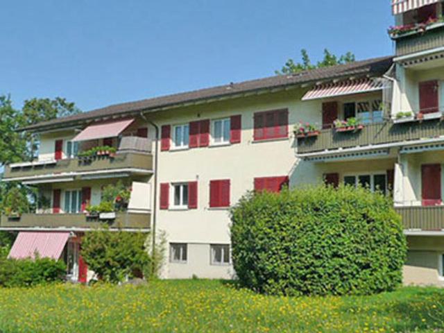Apartment mieten in Einigen, Zürich