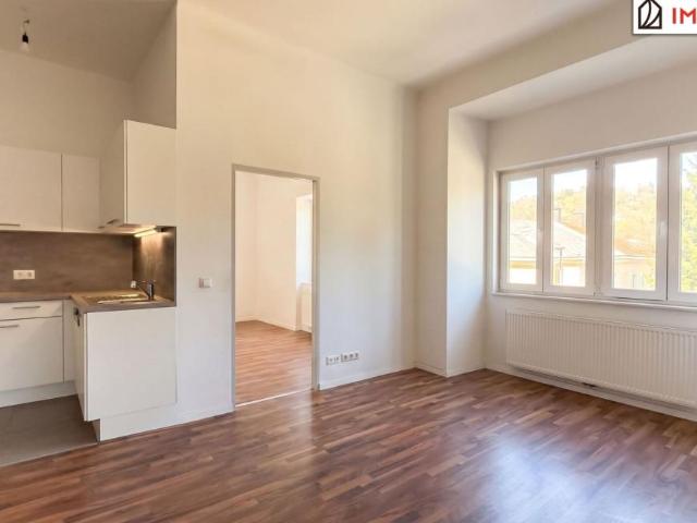 Wohnung mieten in Katastralgemeinde Hinterbrühl, Hinterbrühl