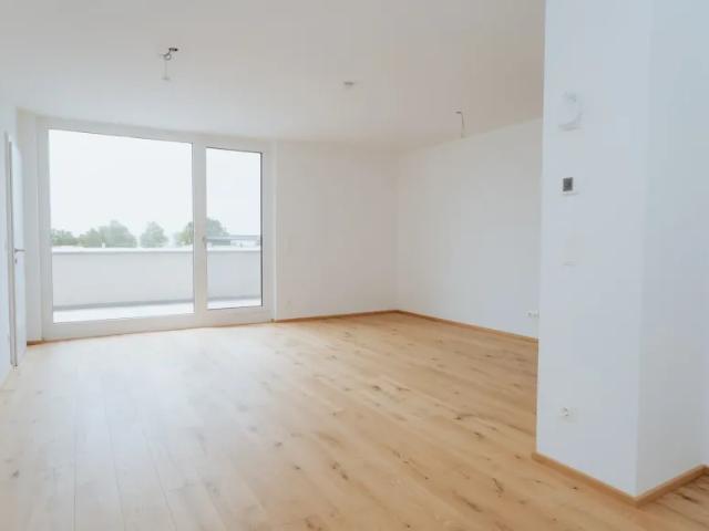 Wohnung kaufen in Podersdorf am See, Burgenland