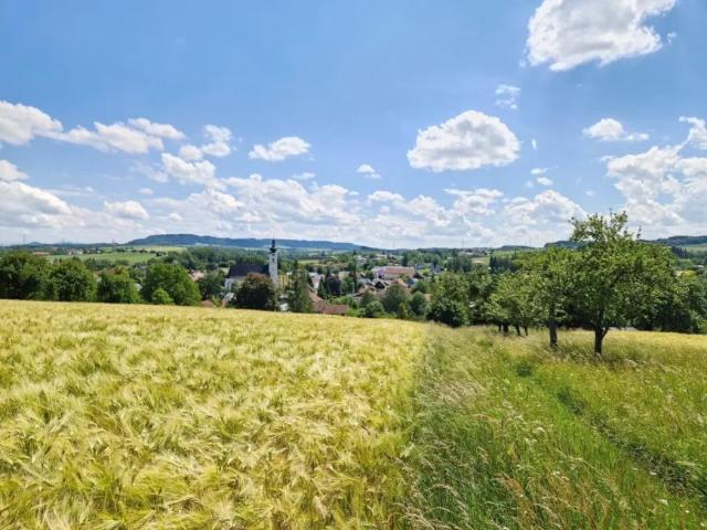 Wohnung kaufen in Pram, Oberösterreich