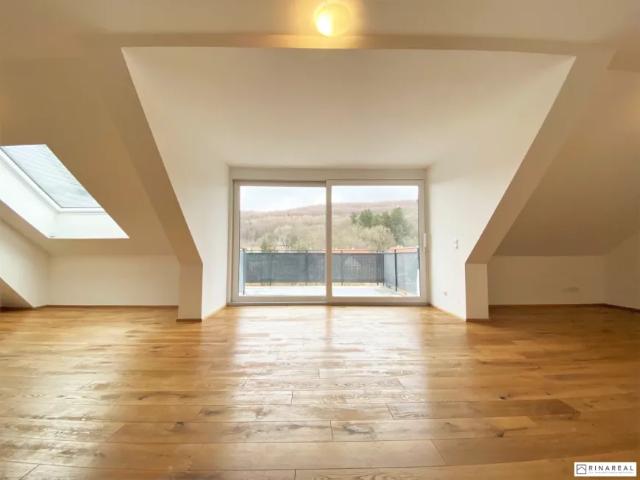 Wohnung mieten in Pressbaum, Niederösterreich
