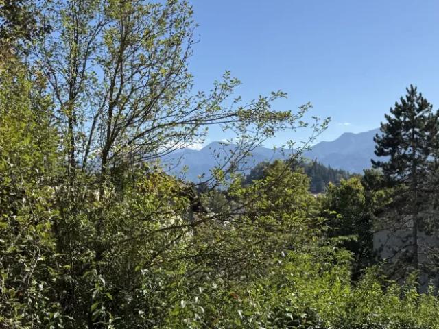 Wohnung kaufen in Rosegg, Bezirk Villach-Land