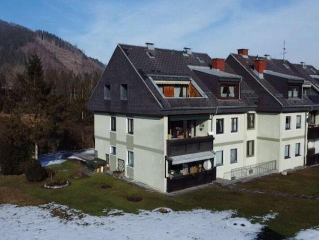Wohnung kaufen in St. Gallen, Steiermark