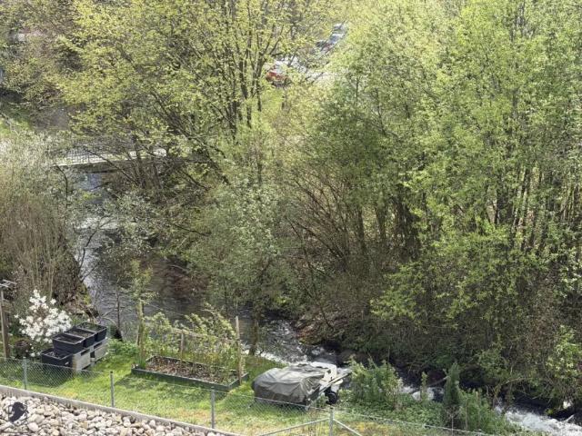 Wohnung kaufen in Schwanenstadt, Oberösterreich