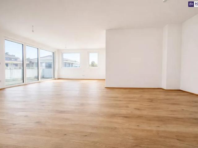Wohnung kaufen in Schwechat, Niederösterreich
