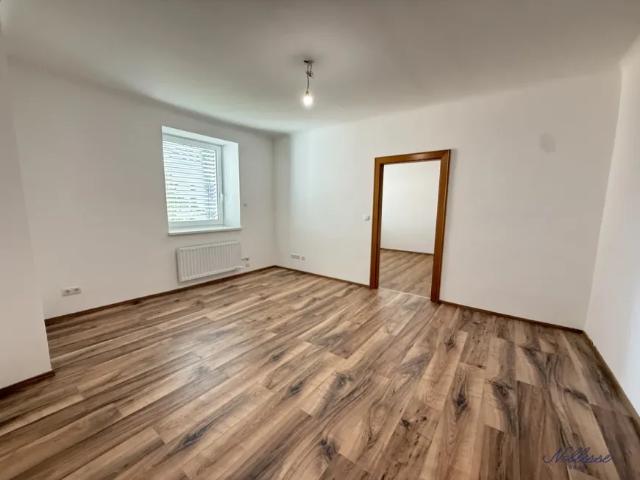 Wohnung mieten in Schwechat, Niederösterreich