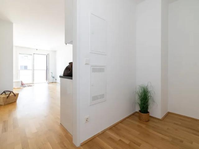Wohnung kaufen in Katastralgemeinde Schwechat, Schwechat