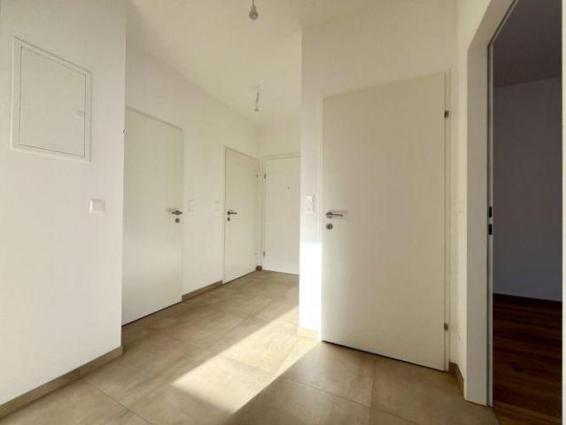 Wohnung kaufen in St. Andrä-Wördern, Niederösterreich