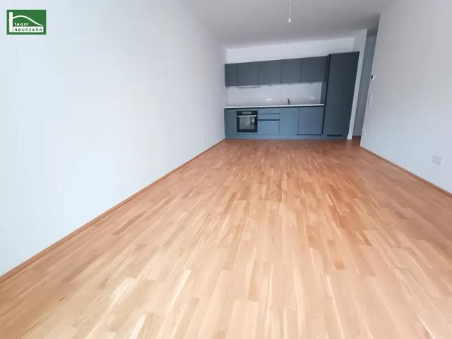 Wohnung mieten in Katastralgemeinde St. Pölten, St. Pölten