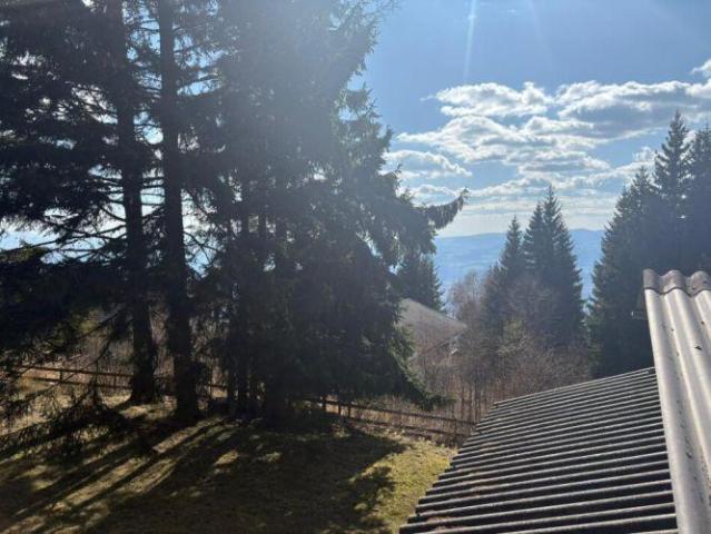Wohnung kaufen in St. Stefan ob Stainz, Steiermark