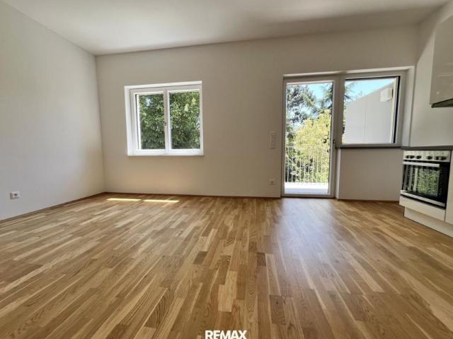 Wohnung mieten in Steiermark