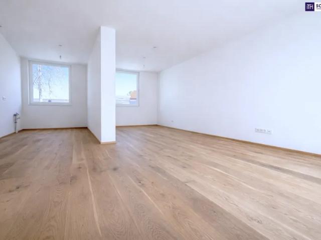 Wohnung kaufen in Katastralgemeinde Traiskirchen, Traiskirchen