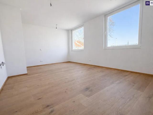 Wohnung kaufen in Katastralgemeinde Traiskirchen, Traiskirchen