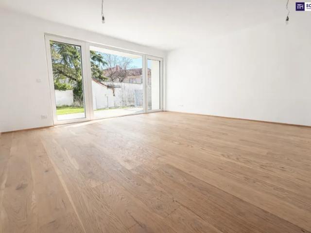 Wohnung kaufen in Katastralgemeinde Traiskirchen, Traiskirchen
