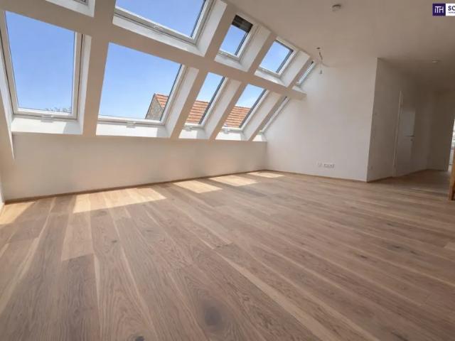 Wohnung kaufen in Katastralgemeinde Traiskirchen, Traiskirchen